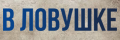 В ловушке